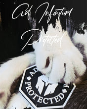 Lade das Bild in den Galerie-Viewer, Supporter Patch Ad Infinitum Protected